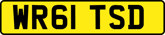 WR61TSD