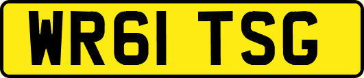 WR61TSG