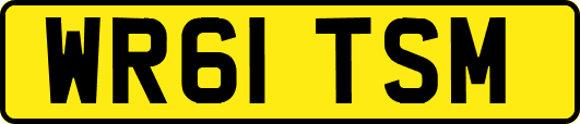 WR61TSM