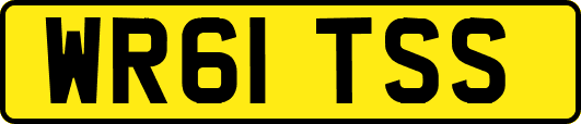 WR61TSS