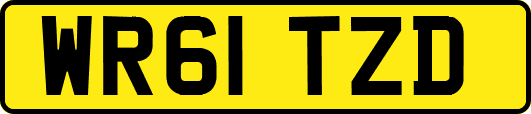 WR61TZD