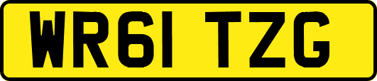 WR61TZG