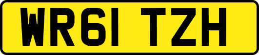 WR61TZH