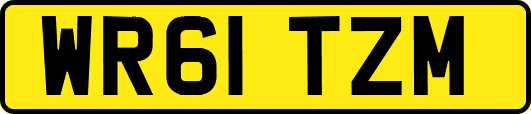 WR61TZM