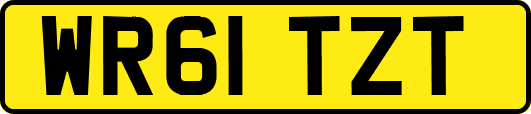 WR61TZT