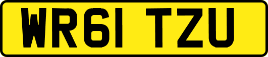 WR61TZU