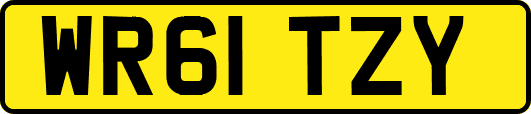 WR61TZY