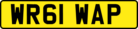 WR61WAP
