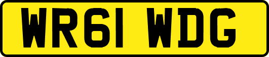 WR61WDG