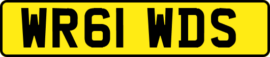 WR61WDS