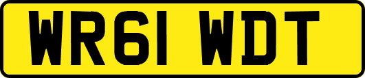 WR61WDT