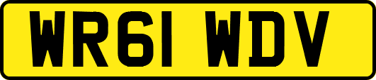 WR61WDV