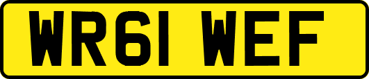 WR61WEF