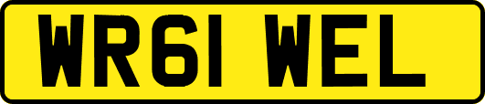 WR61WEL