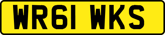 WR61WKS