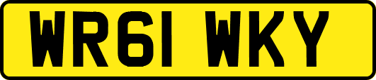 WR61WKY