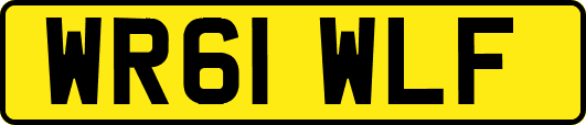 WR61WLF