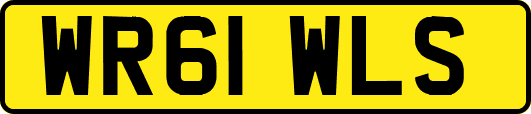 WR61WLS