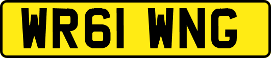 WR61WNG