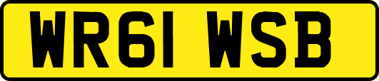 WR61WSB