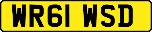 WR61WSD