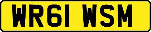 WR61WSM