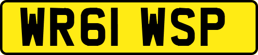 WR61WSP