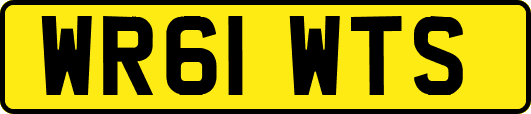 WR61WTS