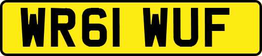 WR61WUF