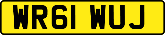 WR61WUJ
