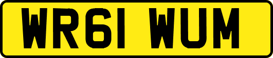 WR61WUM