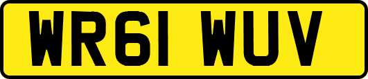 WR61WUV