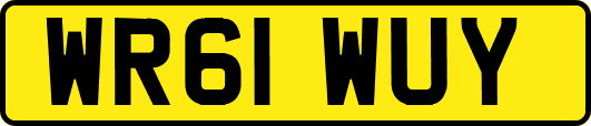 WR61WUY