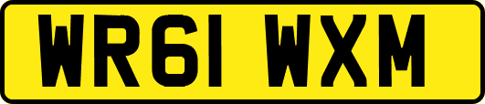 WR61WXM