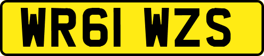 WR61WZS