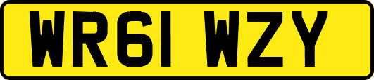 WR61WZY
