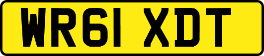 WR61XDT