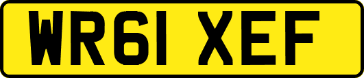 WR61XEF