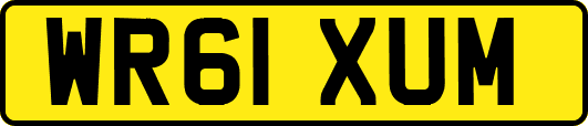 WR61XUM