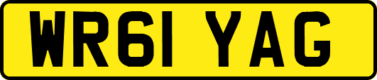 WR61YAG