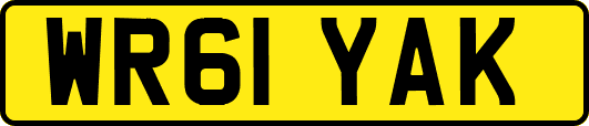 WR61YAK