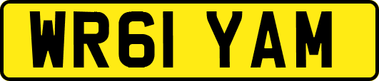 WR61YAM