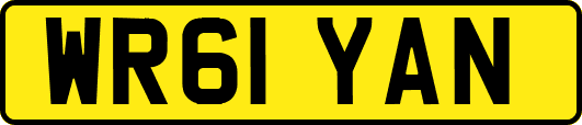 WR61YAN
