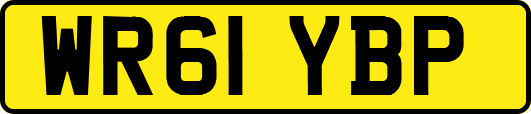 WR61YBP