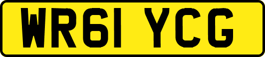 WR61YCG