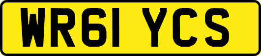 WR61YCS