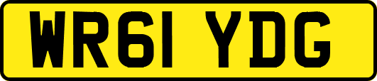 WR61YDG