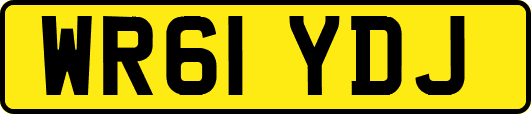 WR61YDJ