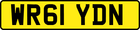 WR61YDN
