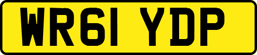 WR61YDP